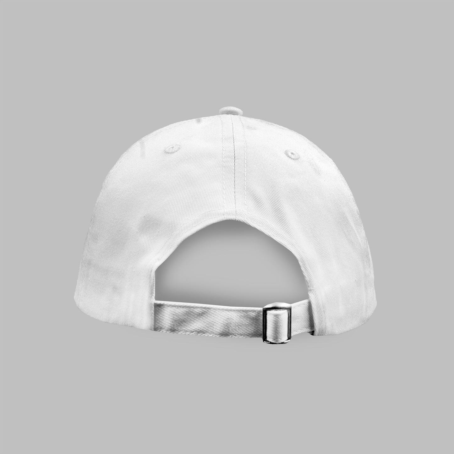 "Professional Tourist" - BASEBALL CAPS white