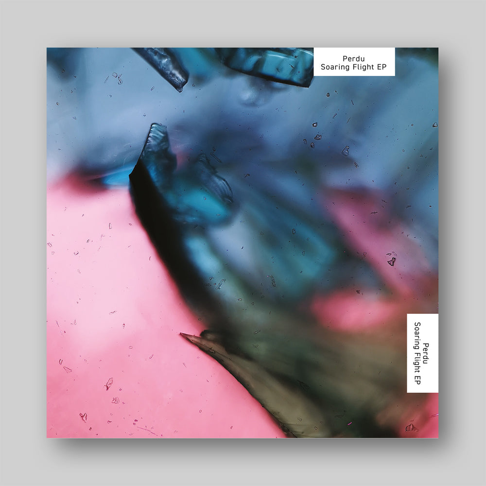 Soaring Flight EP by Perdu